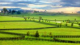 Akomodasi liburan di Kentucky