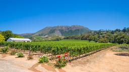 Sewa mobil di Stellenbosch