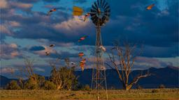 South Australia hotel