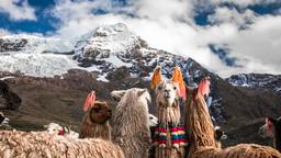 Hotel dekat Bandara Cuzco Velazco Astete