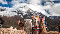 Hotel di Cuzco