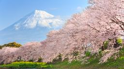 Akomodasi liburan di Prefektur Tokyo