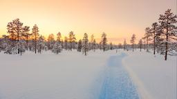 Akomodasi liburan di Lapland