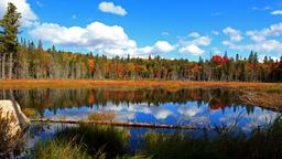 Akomodasi liburan di Algonquin Provincial Park