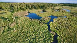 Akomodasi liburan di Everglades