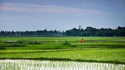 Akomodasi liburan di West Bengal