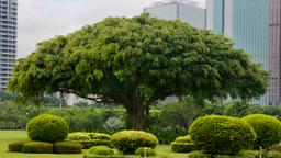 Haikou Direktori Hotel