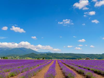 Furano