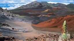 Akomodasi liburan di Haleakala National Park