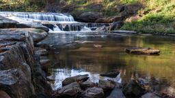 Hotel dekat Bandara Pitt-Greenville