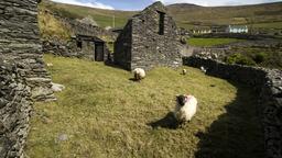 Akomodasi liburan di Dingle Peninsula