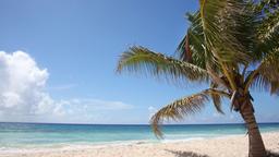 Trelawny hotel
