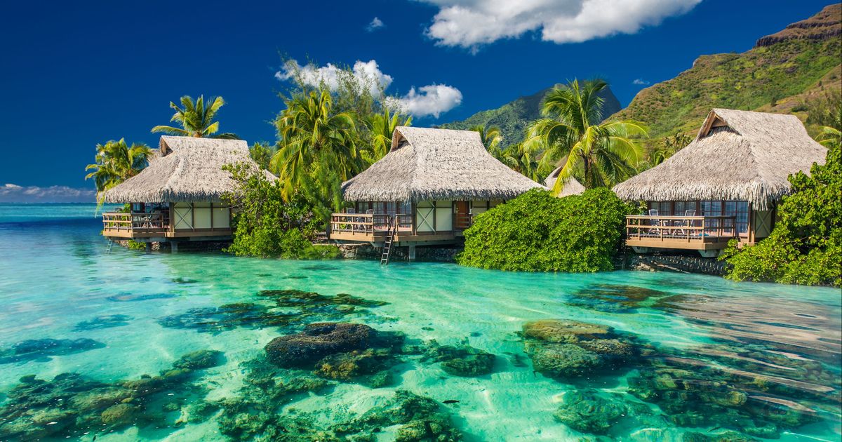 Rp 11.918.063 Tiket Pesawat Murah ke Tahiti - KAYAK