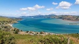 Hotel dekat Bandara Dunedin