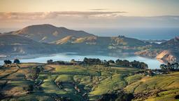 Hotel dekat Bandara Dunedin