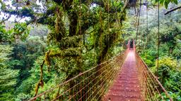 Arenal Volcano National Park hotel