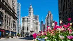 Hotel dekat Bandara Chicago O'Hare Intl