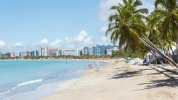 Hotel dekat Bandara Palmares