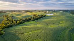 Akomodasi liburan di Missouri