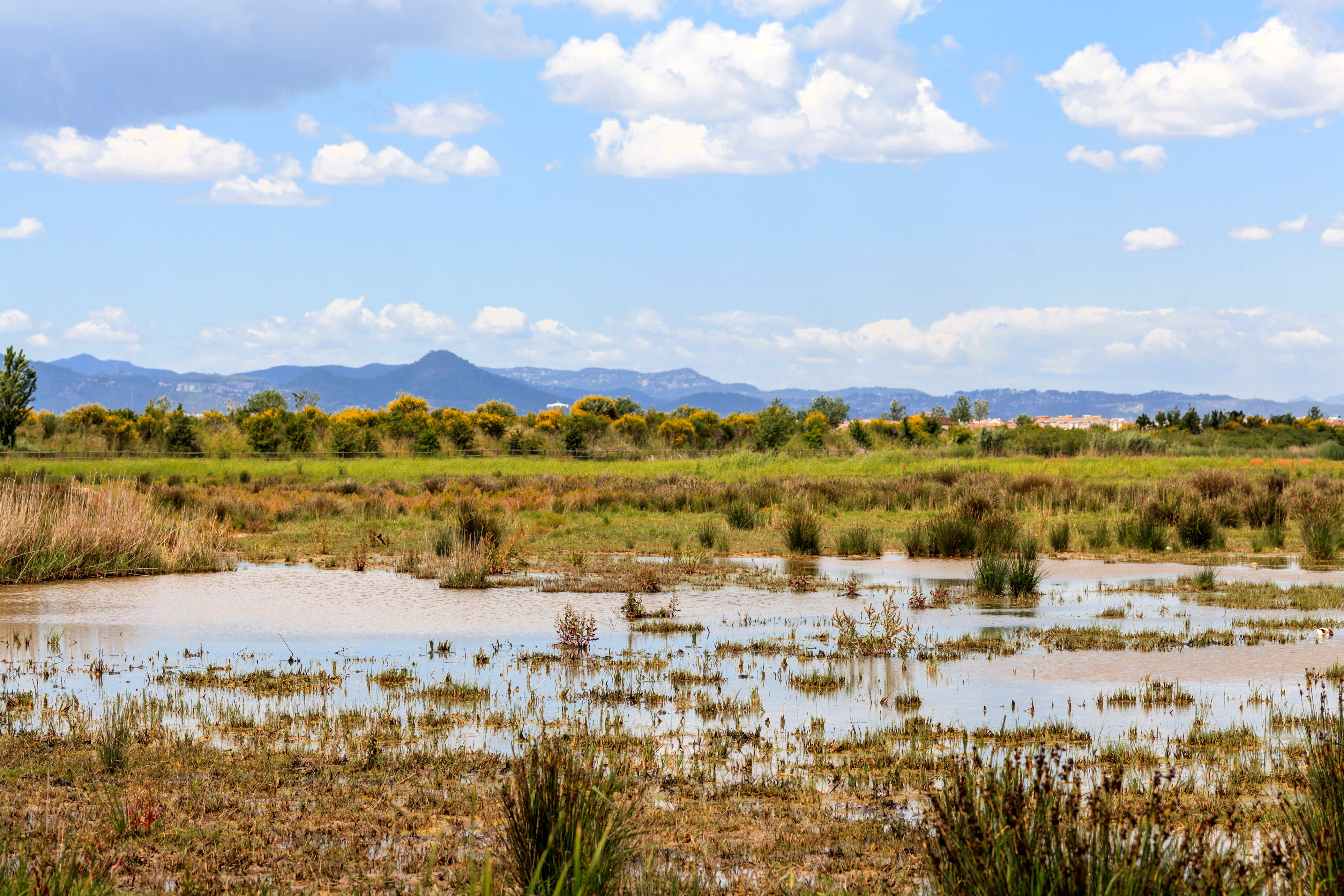 Sewa mobil di El Prat de Llobregat