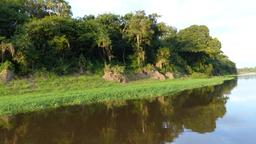 Amazonas hotel