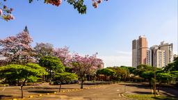 Hotel dekat Bandara Londrina