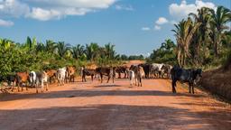 Akomodasi liburan di Rondônia