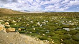 Akomodasi liburan di Atacama