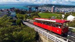 Temukan Tiket Murah ke Wellington