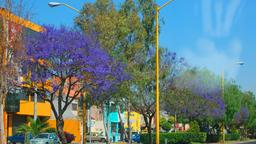 Aguascalientes hotel