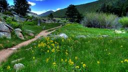 Akomodasi liburan di Rocky Mountain National Park