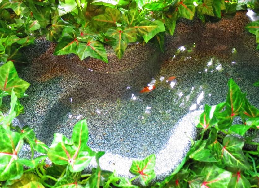 Pemandangan luar Foto