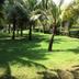 Pemandangan luar