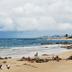 Pantai