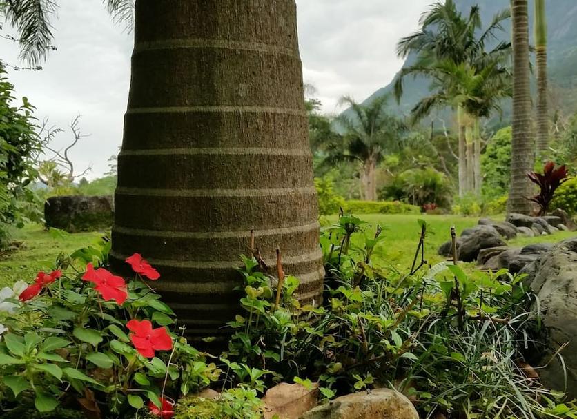 Pemandangan luar Foto