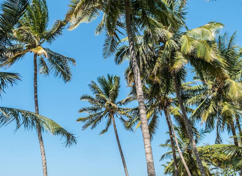 Pemandangan luar Foto