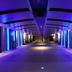 Lorong
