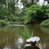 Pemandangan luar