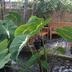 Pemandangan luar