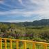 Pemandangan luar