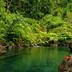 Pemandangan luar
