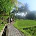 Pemandangan luar