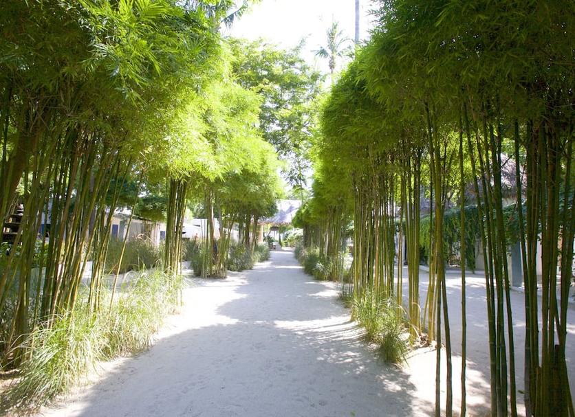Pemandangan luar Foto