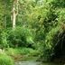 Pemandangan luar