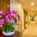 Lorong