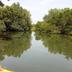 Pemandangan luar