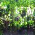 Pemandangan luar