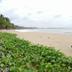 Pantai