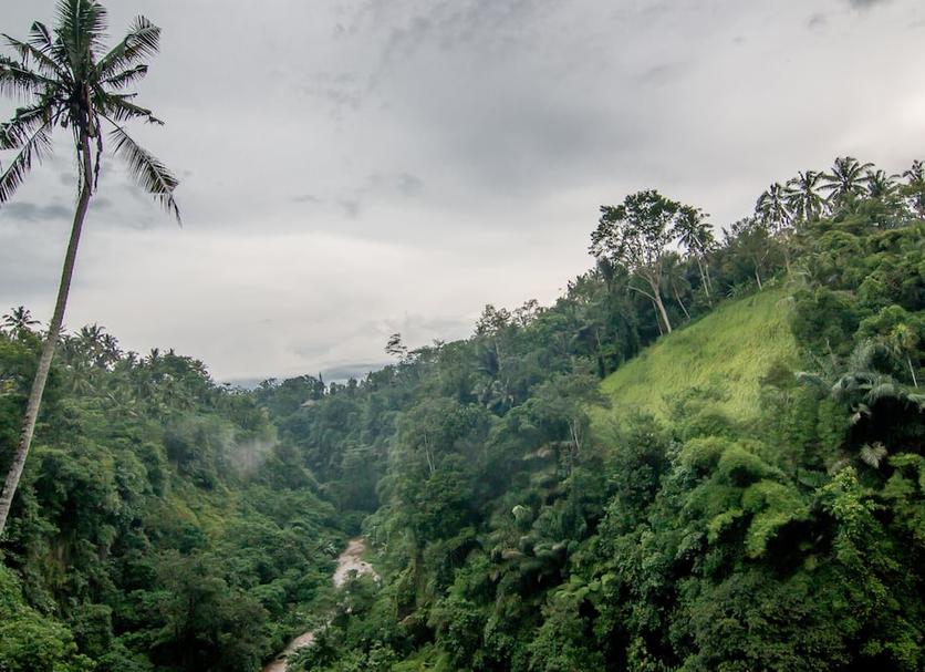 Pemandangan luar Foto