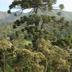 Pemandangan luar